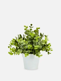 Eucalipto Artificial Pequeno