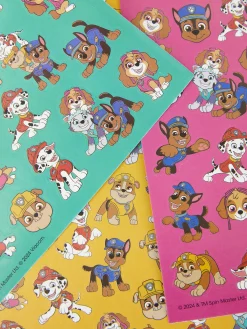 Pack 500 Autocolantes PAW Patrol